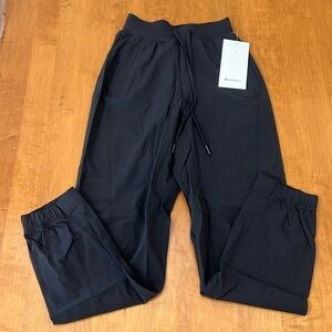 License to Train Hr Pant